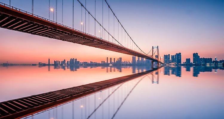 2023-摄图网_500623699_banner_武汉风光夜景鹦鹉洲长江大桥（企业商用）