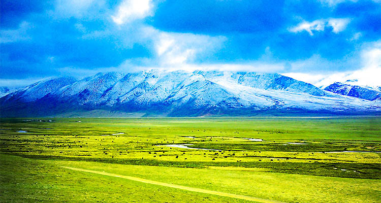 750X400-摄图网_500673268_banner_雪山草原（企业商用）