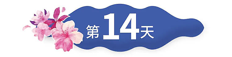 云南-第14天