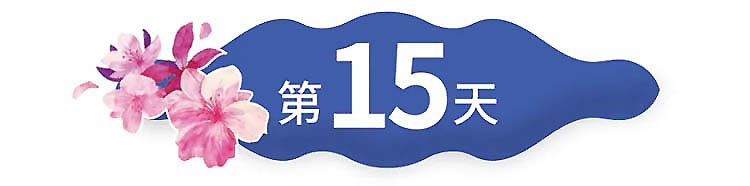 云南-第15天