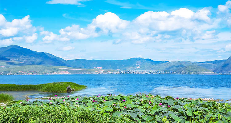 750X400-2024-摄图网_501653931_banner_云南大理洱海自然风光（企业商用）