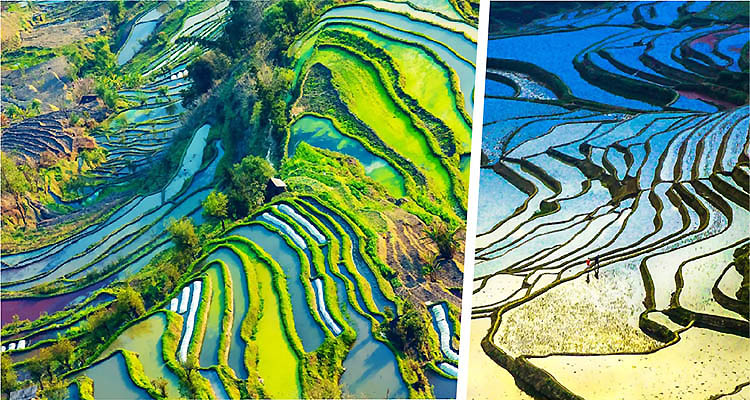 750X400-元阳梯田