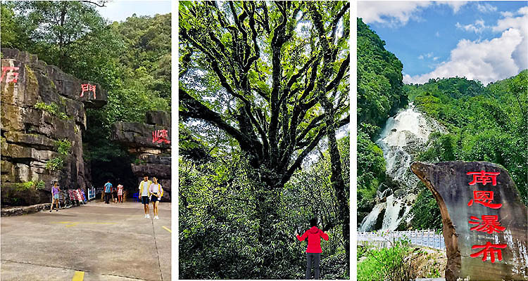 750X400-哀牢山风景区