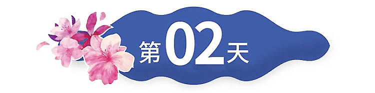 云南-第2天