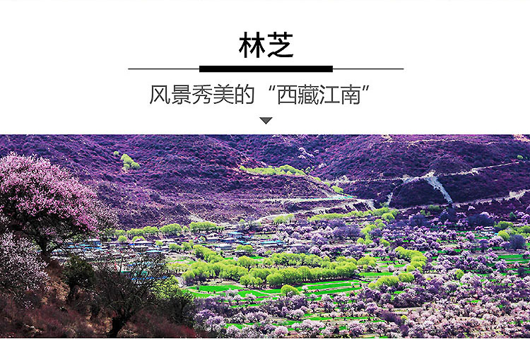 西藏2025-11-无扎布伦寺