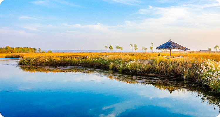 2021-_宁夏银川沙漠风光_banner（企业商用）