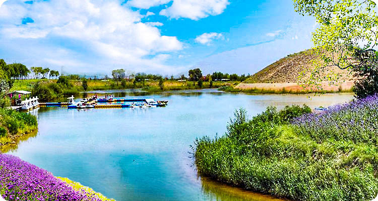 2023-PS-金沙湖副本