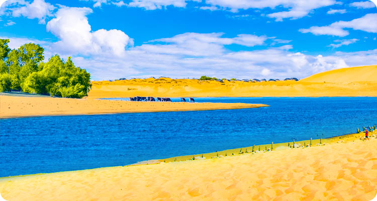 750X400-摄图网_500356811_沙漠湖泊(企业商用)